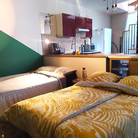 Spacieux Appartement Au Calme 15Min Sud De Lyon Proche Metro Et Gare Confluence Aquarium Gerland أولينز المظهر الخارجي الصورة