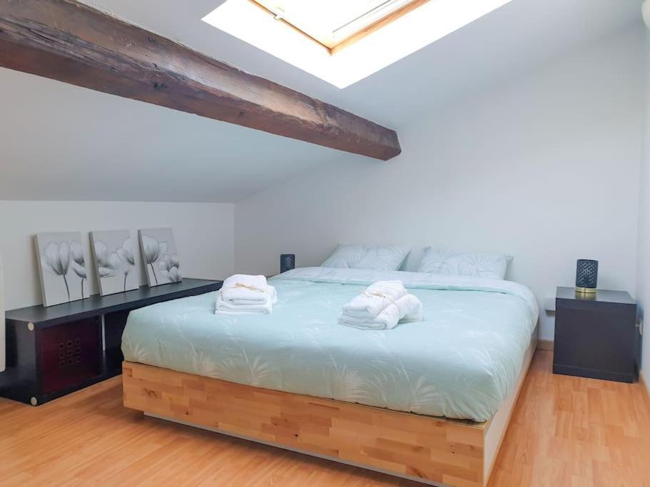 Spacieux Appartement Au Calme 15Min Sud De Lyon Proche Metro Et Gare Confluence Aquarium Gerland أولينز المظهر الخارجي الصورة