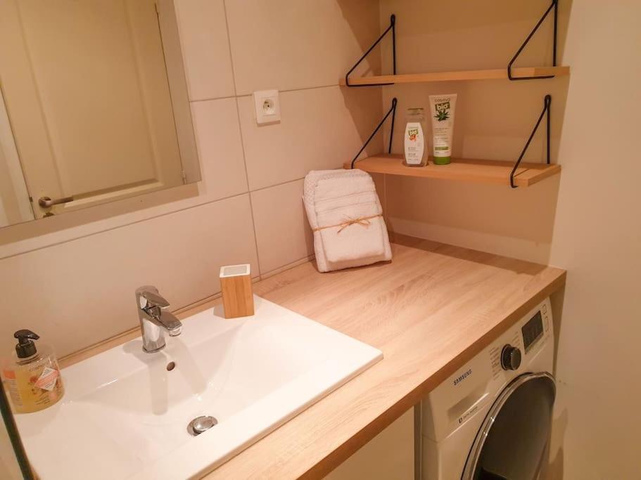 Spacieux Appartement Au Calme 15Min Sud De Lyon Proche Metro Et Gare Confluence Aquarium Gerland أولينز المظهر الخارجي الصورة