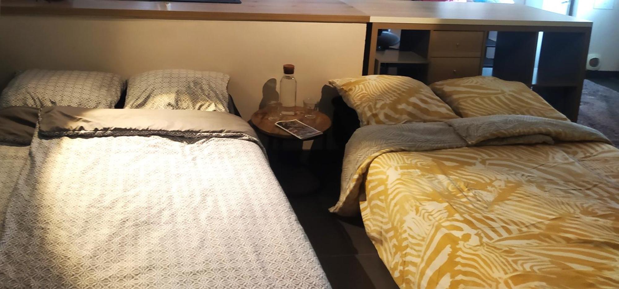Spacieux Appartement Au Calme 15Min Sud De Lyon Proche Metro Et Gare Confluence Aquarium Gerland أولينز المظهر الخارجي الصورة